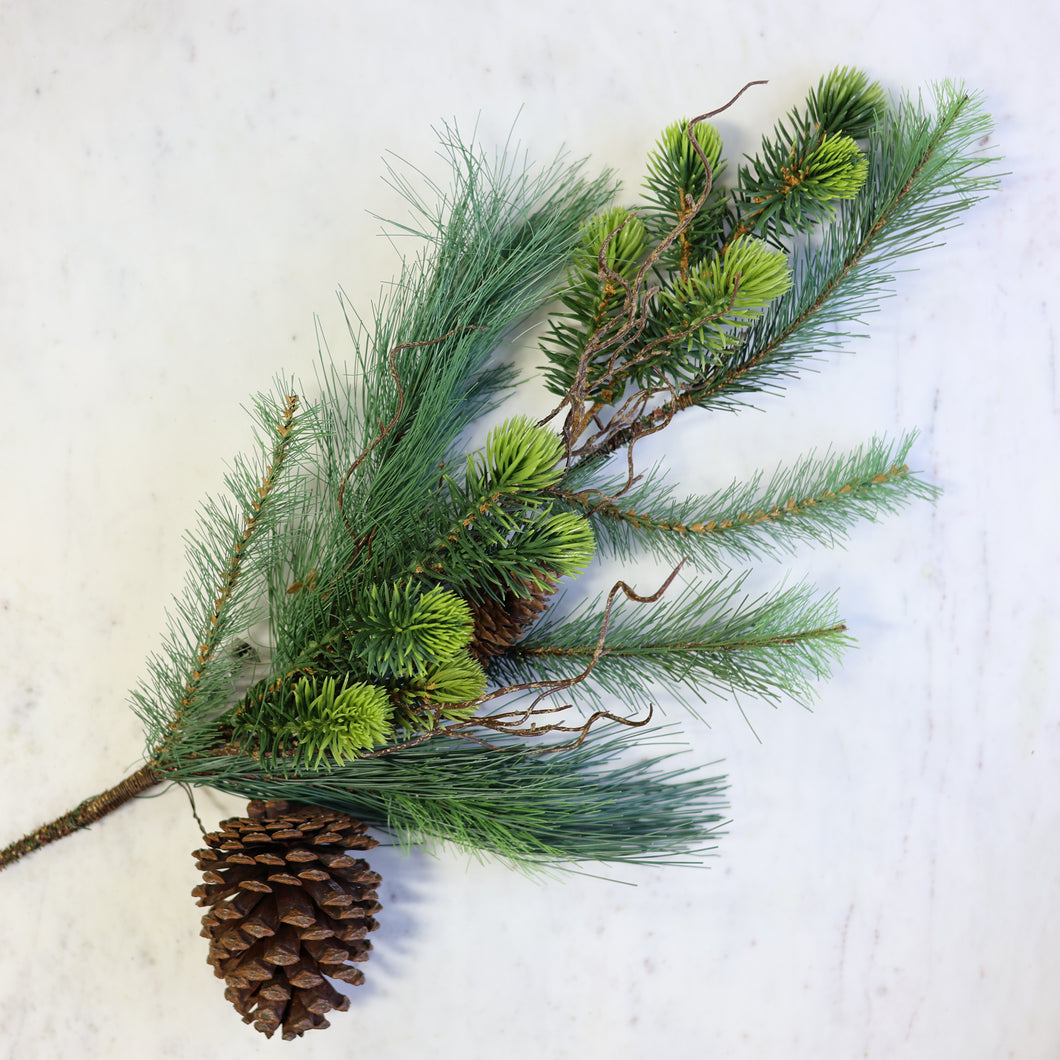 Mixed Pine Branch